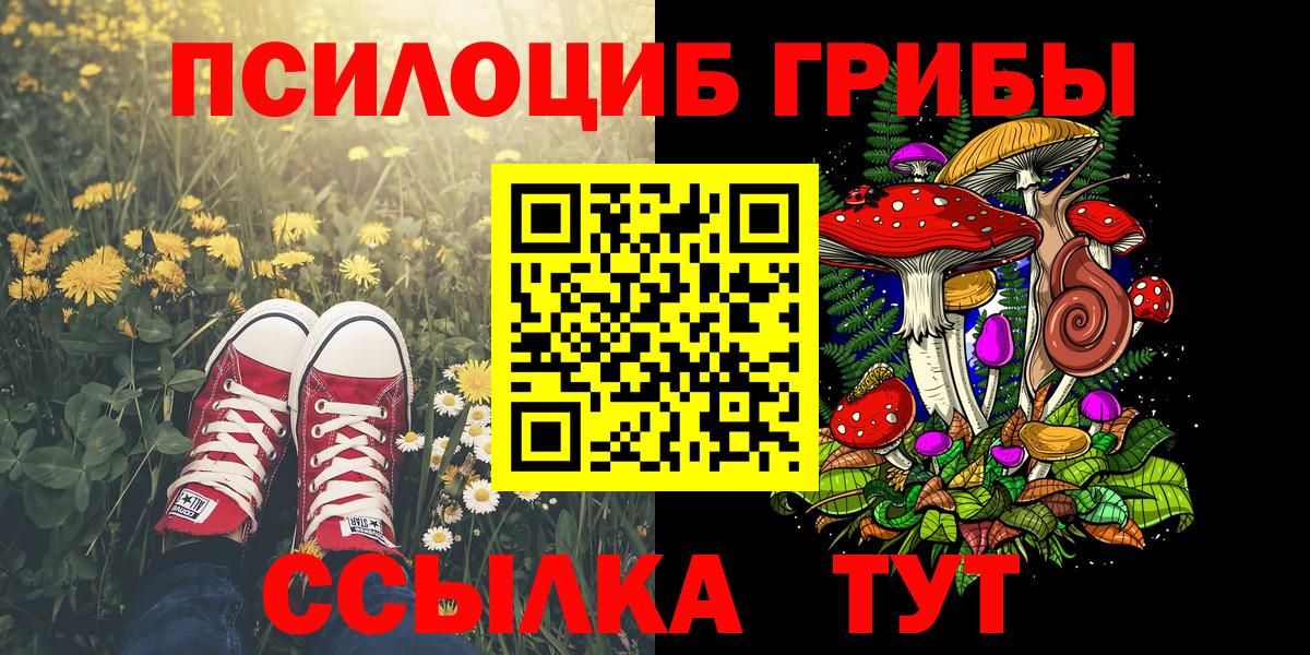 Псилоцибиновые грибы мицелий Вязники