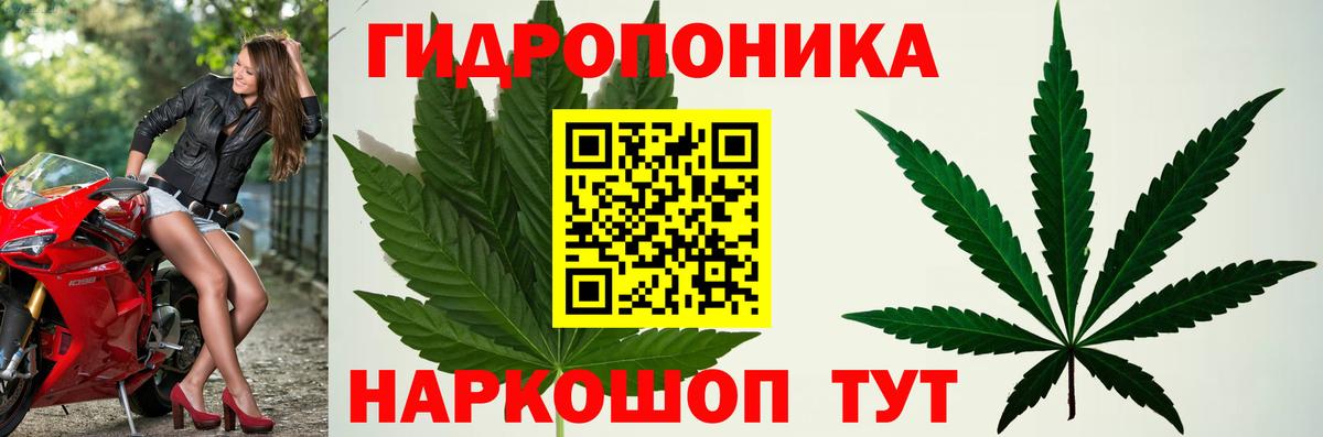 Бошки марихуана OG Kush Вязники